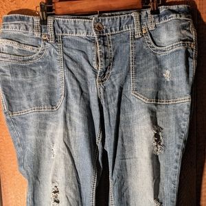 Plus Size Ariya Jeans